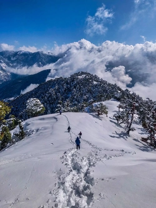 Kuari Pass Trek Difficulty by manchala mushafir, book snowline package at best price